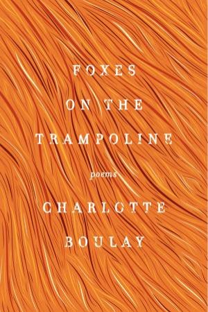Foxes On The Trampoline by Charlotte Boulay