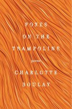 Foxes On The Trampoline