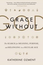 Grace Without God The Search For Meaning Purpose And Belonging In A Secular Age