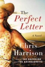 The Perfect Letter A Novel