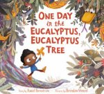 One Day In The Eucalyptus Eucalyptus Tree