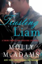 Trusting Liam A Taking Chances and Forgiving Lies Novel