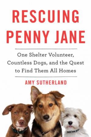Rescuing Penny Jane by Amy Sutherland