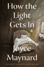 How the Light Gets In A Novel