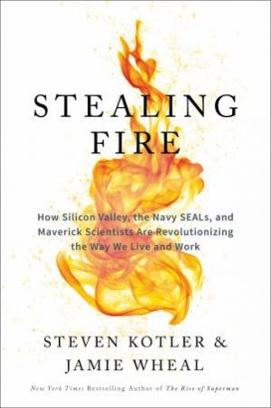 Stealing Fire: How Silicon Valley, The Navy SEALs, And Maverick Scientists Are Revolutionising The Way We Live And Work by Steven Kotler & Jamie Wheal