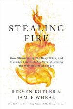 Stealing Fire How Silicon Valley The Navy Seals And Maverick Scientists Are Revolutionizing The Way We Live And Work