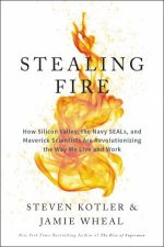 Stealing Fire How Silicon Valley The Navy Seals And Maverick Scientists Are Revolutionizing The Way We Live And Work