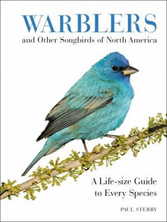 Warblers And Other Songbirds Of North America: A Life-size Guide To     Every Species by Paul Sterry