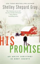 His Promise An Amish Christmas In Hart County
