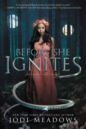 Before She Ignites by Jodi Meadows