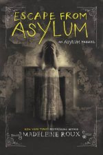 Asylum Prequel Escape From Asylum