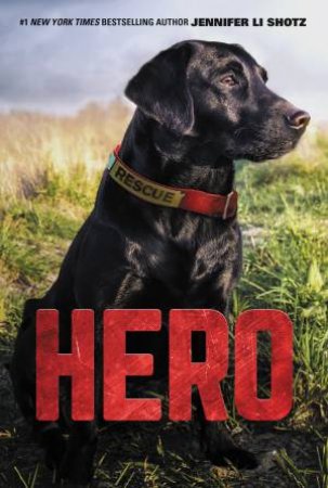 Hero: Rescue Dog by Jennifer Li Shotz