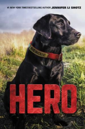 Hero: Rescue Dog by Jennifer Li Shotz