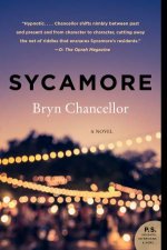 Sycamore