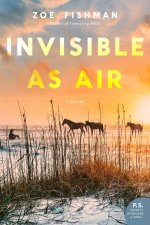 Invisible As Air