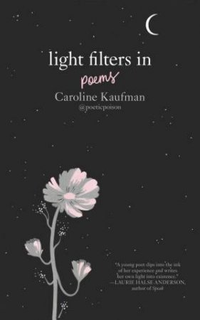 Light Filters In: Poems by Caroline Kaufman & Yelena Bryksenkova