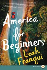 America For Beginners A Novel Large Print