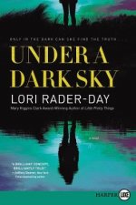 Under A Dark Sky A Novel Large Print