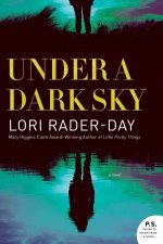 Under A Dark Sky A Novel