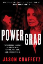 Power Grab The Liberal Scheme to Undermine Trump the GOP and Our Republic