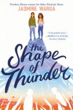 The Shape Of Thunder