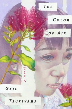 The Color Of Air by Gail Tsukiyama