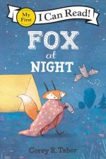 Fox At Night