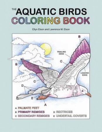 The Aquatic Birds Coloring Book by Various