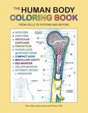 The Human Body Coloring Book From Cells To Systems And Beyond