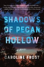 Shadows of Pecan Hollow A Novel
