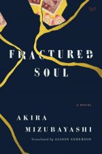 Fractured Soul A Novel