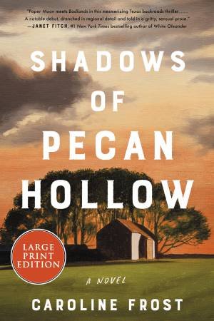 Shadows Of Pecan Hollow (Large Print) by Caroline Frost