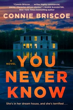 You Never Know: A Novel by Connie Briscoe