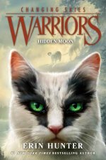 Hidden Moon Warriors Changing Skies 2