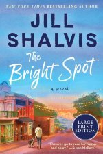The Bright Spot A Novel LP