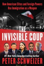 The Invisible Coup