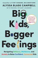 Big Kids Bigger Feelings Navigating Defiance Meltdowns and Anxiety to Raise Confident Connected Kids