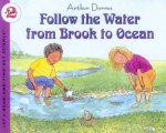 Follow The Water From Brook To Ocean