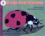 Bugs Are Insects