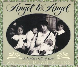 Angel To Angel by Walter Dean Myers