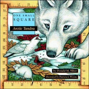 Arctic Tundra by Donald M. Silver & Patricia J. Wynne