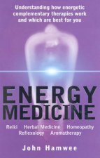 Energy Medicine Understanding Energetic Complementary Therapies
