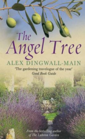 The Angel Tree by Alex Dingwall-Main