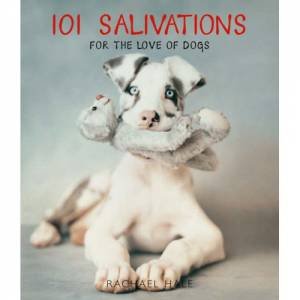101 Salivations: For the Love of Dogs by Rachael Hale