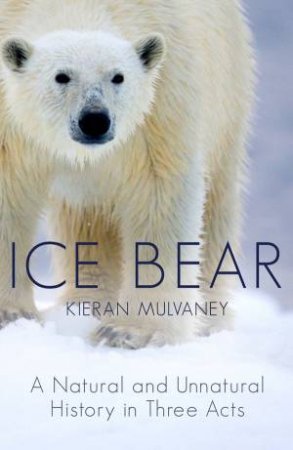 Ice Bear by Kieran Mulvaney