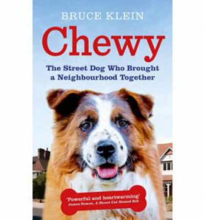Chewy The Street Dog who Brought a Neighbourhood Together by Bruce Klein