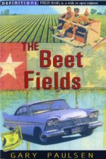 Beet Fields