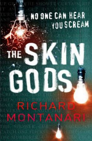 Skin Gods by Richard Montanari