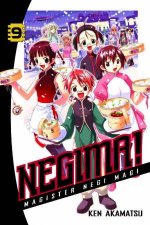 Negima Vol 9