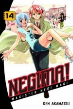 Negima Volume 14